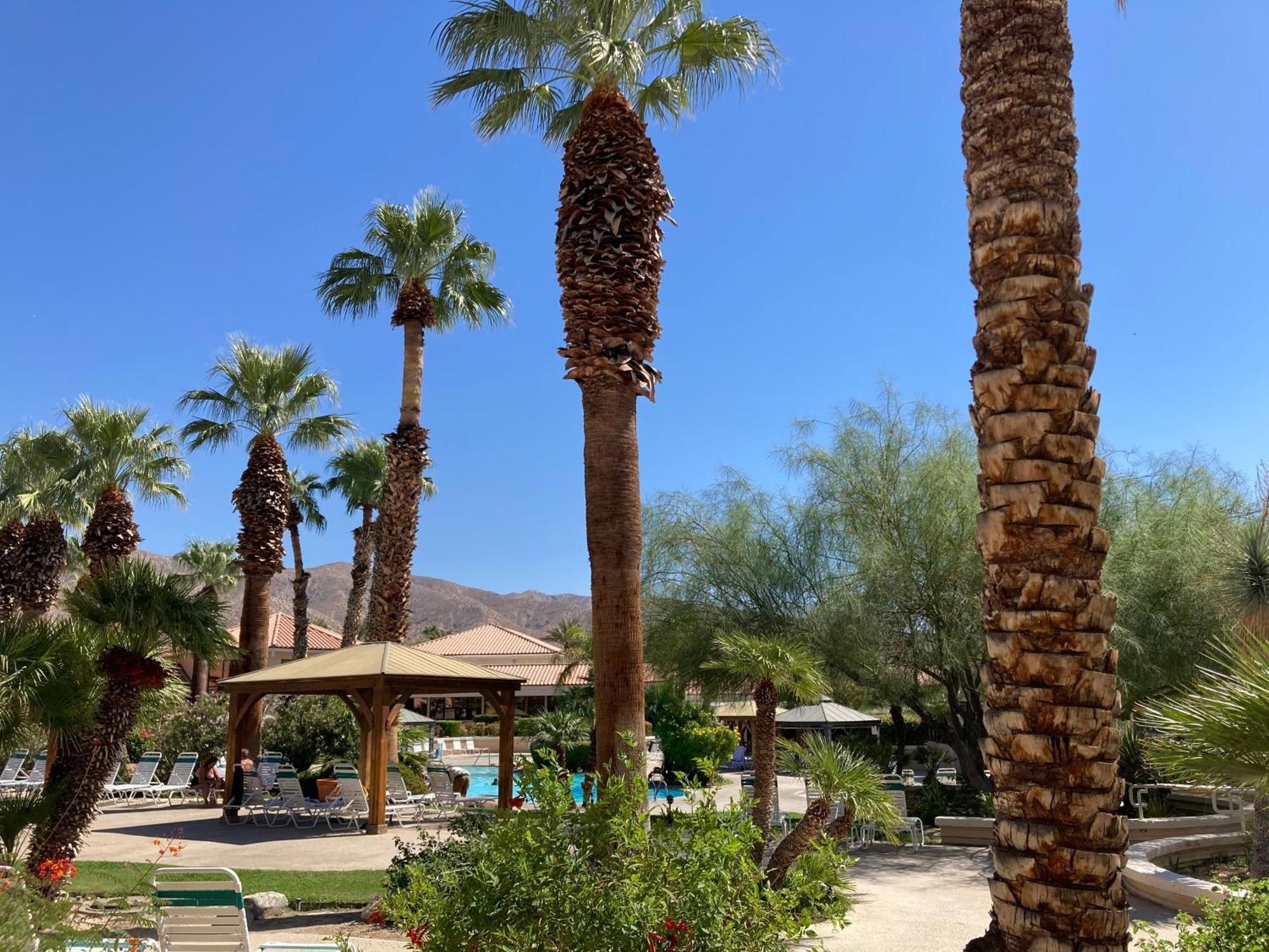 Miracle Springs Resort And Spa Desert Hot Springs Eksteriør billede